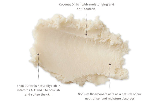 Cotton Fresh Natural Deodorant Cream | Evolve Organic Beauty