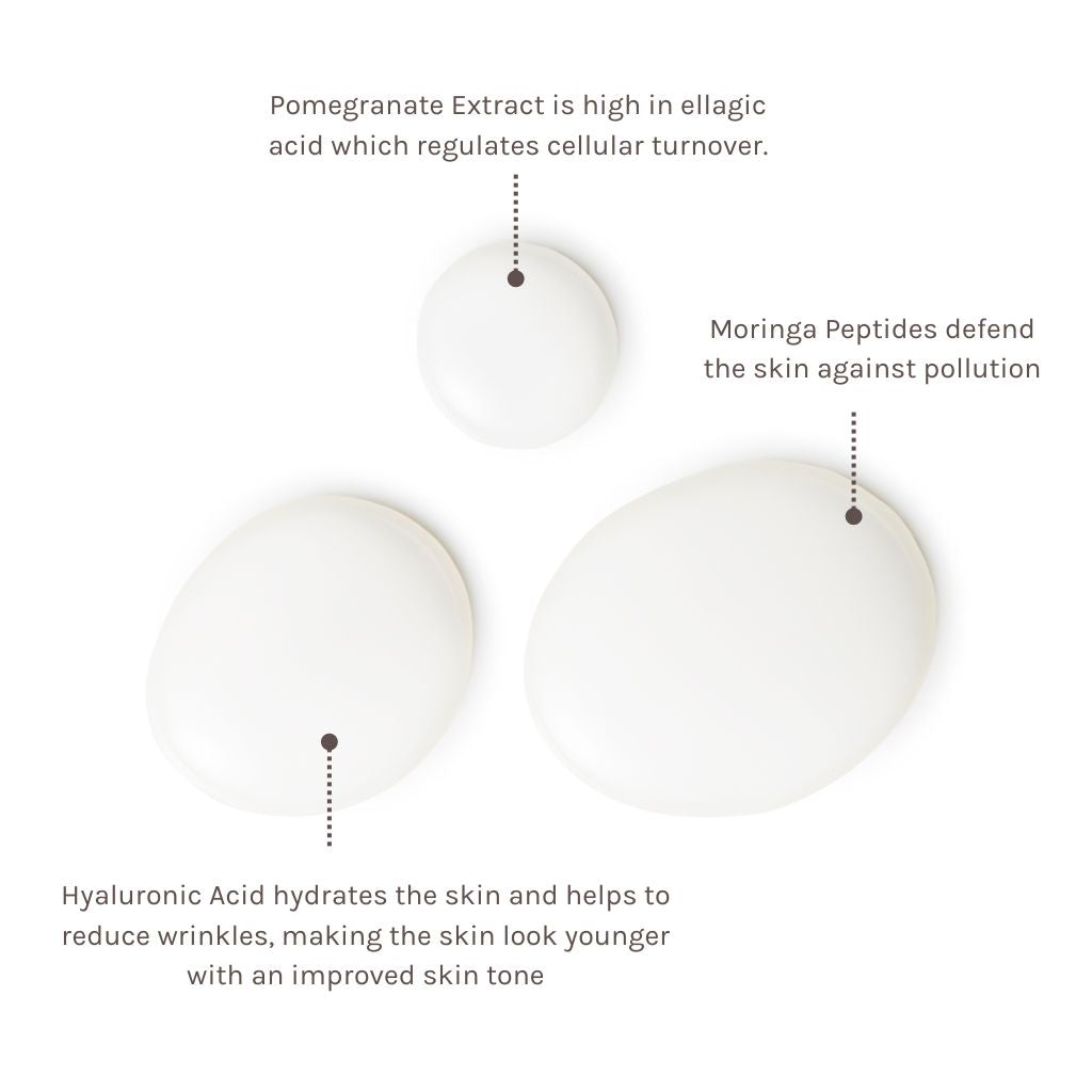 evolve organic skincare swatch of organic micellar cleansing water with ingredient information